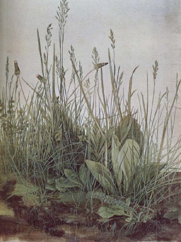 unknow artist A large grass